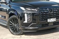 2024 Hyundai
                Palisade Calligraphy Black Ink