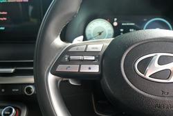 2024 Hyundai
                Palisade Calligraphy Black Ink
