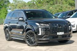 2024 Hyundai
                Palisade Calligraphy Black Ink