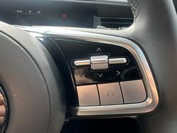 2024 GWM Cannon Alpha Lux