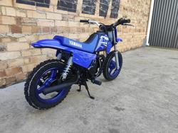2025 YAMAHA PEEWEE 50 (PW50) MINI BIKE BLUE