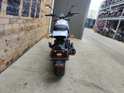 2024 HARLEY-DAVIDSON X 500 ROAD WHITE