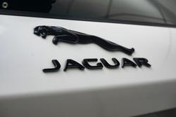 2024 Jaguar
F-PACE D300 R-Dynamic SE