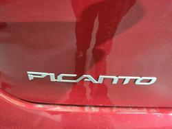 2025 Kia
                Picanto Sport