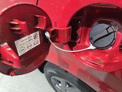 2025 Kia
                Picanto Sport