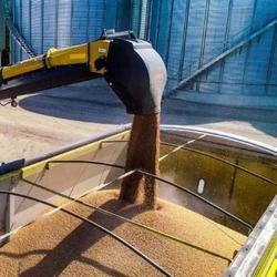 Convey-All 1640 TL Self Propelled Grain Conveyor
