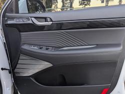 2024 Hyundai
                Palisade Calligraphy Black Ink