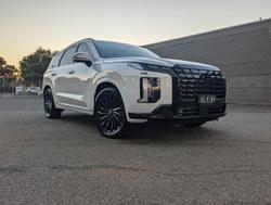 2024 Hyundai
                Palisade Calligraphy Black Ink