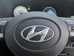 2024 Hyundai
                Palisade Calligraphy Black Ink