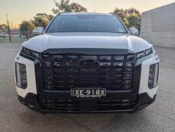 2024 Hyundai
                Palisade Calligraphy Black Ink