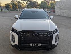 2024 Hyundai
                Palisade Calligraphy Black Ink