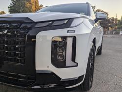2024 Hyundai
                Palisade Calligraphy Black Ink