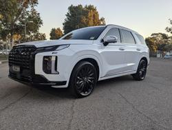 2024 Hyundai
                Palisade Calligraphy Black Ink
