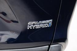 2019 Toyota RAV4 Cruiser