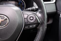 2019 Toyota RAV4 Cruiser