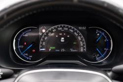 2019 Toyota RAV4 Cruiser