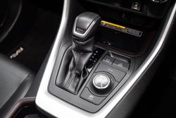 2019 Toyota RAV4 Cruiser