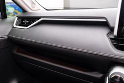 2019 Toyota RAV4 Cruiser