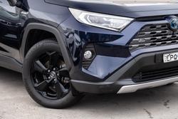 2019 Toyota RAV4 Cruiser
