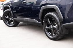 2019 Toyota RAV4 Cruiser