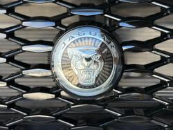 2024 Jaguar
                E-PACE P250 R-Dynamic SE