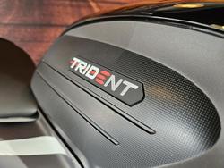 2025 Triumph Trident 660 Trident Black