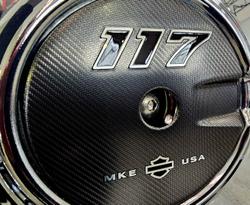 2025 Harley-Davidson Street Glide 117 (FLHX) Touring Grey