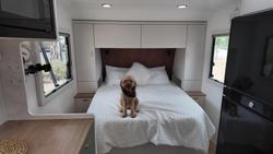 2025 Concept Innovation 630