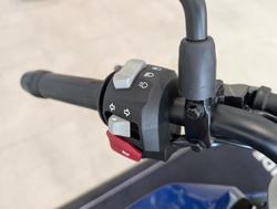 2024 BMW Motorrad G 310 R G 310 Blue