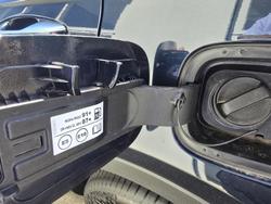 2025 Kia Sorento Sport