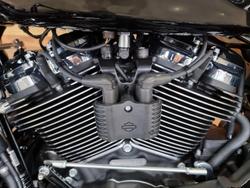 2025 Harley-Davidson Road Glide 117 (FLTRX) Touring Black