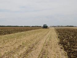 0 TATU GAPCR HD 8013 RIGID 37 PLATE OFFSET DISC NEW RED