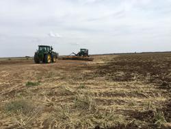 0 TATU GAPCR HD 8013 RIGID 37 PLATE OFFSET DISC NEW RED