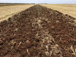 0 TATU GAPCR HD 8013 RIGID 37 PLATE OFFSET DISC NEW RED