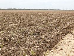 0 TATU GAPCR HD 8013 RIGID 37 PLATE OFFSET DISC NEW RED