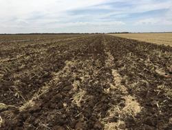 0 TATU GAPCR HD 8013 RIGID 37 PLATE OFFSET DISC NEW RED