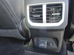 2022 GWM Ute Cannon-L CC