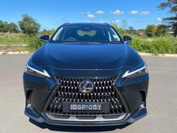 2024 Lexus
NX 350h Luxury