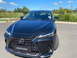 2024 Lexus
NX 350h Luxury