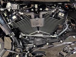 2025 Harley-Davidson Road Glide 117 (FLTRX) Touring Black
