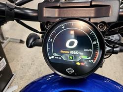 2025 Harley-Davidson Nightster (RH975) Sportster