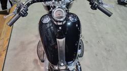 2020 Harley-davidson FLSL SOFTAIL SLIM (107) Black