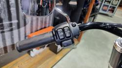 2020 Harley-davidson FLSL SOFTAIL SLIM (107) Black