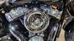 2020 Harley-davidson FLSL SOFTAIL SLIM (107) Black