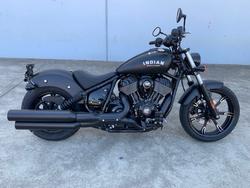 Indian Chief Dark Horse