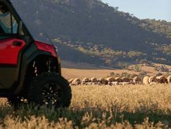 2026 CFMOTO U10 PRO XL HIGHLAND