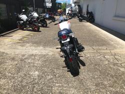 2025 Royal Enfield 2025 ROYAL ENFIELD 650CC INTERCEPTOR BEAR 650