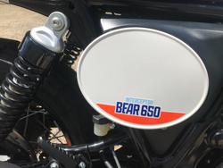 2025 Royal Enfield 2025 ROYAL ENFIELD 650CC INTERCEPTOR BEAR 650