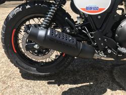 2025 Royal Enfield 2025 ROYAL ENFIELD 650CC INTERCEPTOR BEAR 650