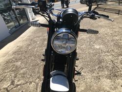 2025 Royal Enfield 2025 ROYAL ENFIELD 650CC INTERCEPTOR BEAR 650